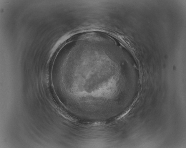 X0000068890056200605081330