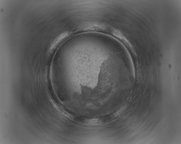 X0000068890058200605081330