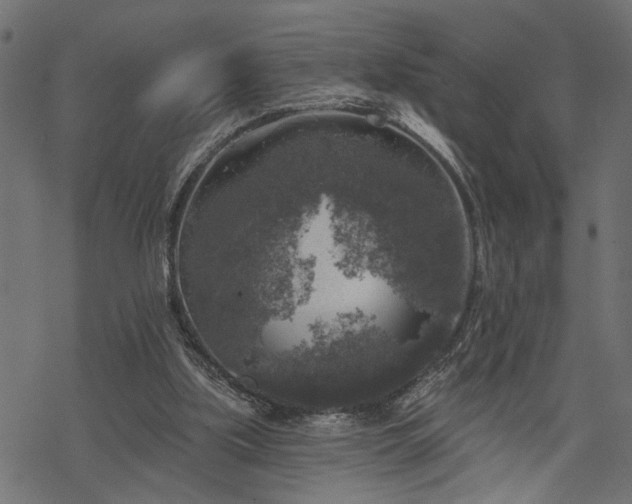 X0000068890059200605081330