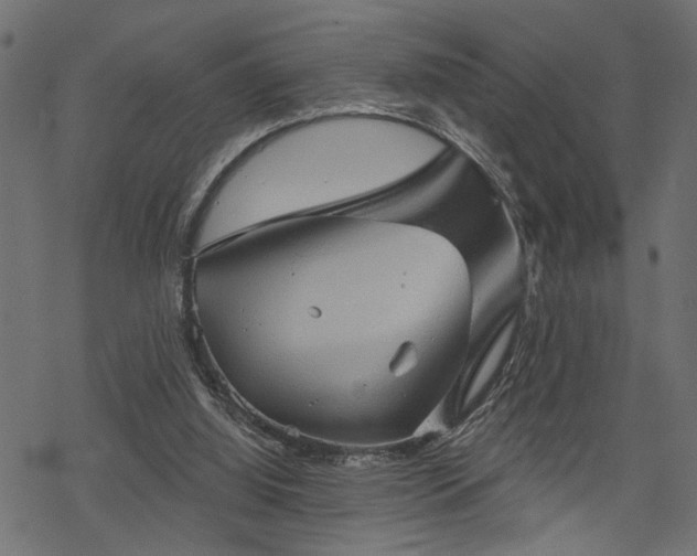 X0000068890060200605081330