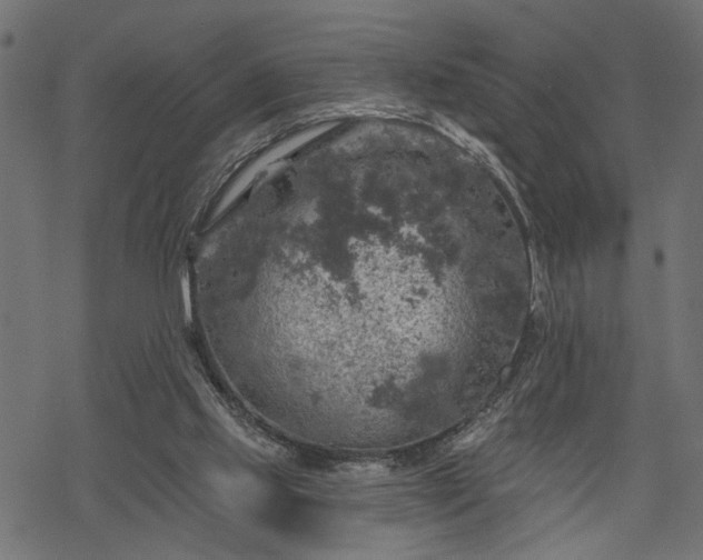 X0000068890061200605081330