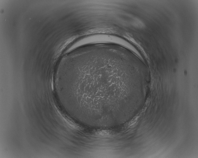 X0000068890062200605081330