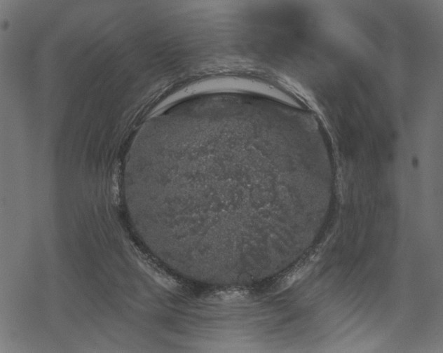 X0000068890065200605081330