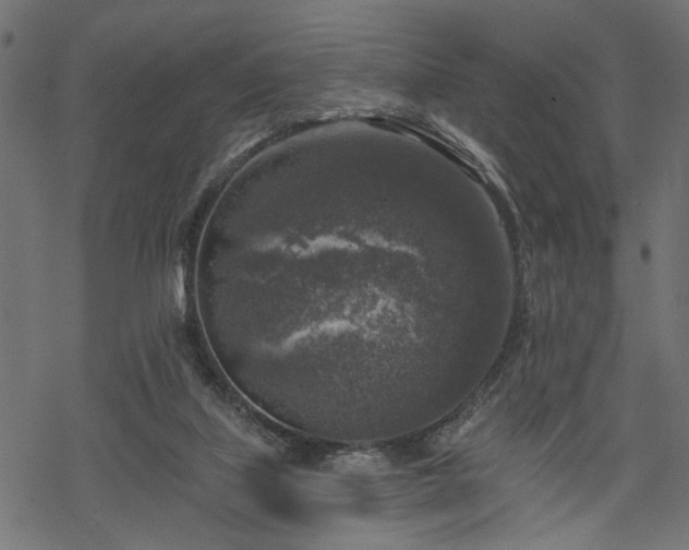 X0000068890067200605081330