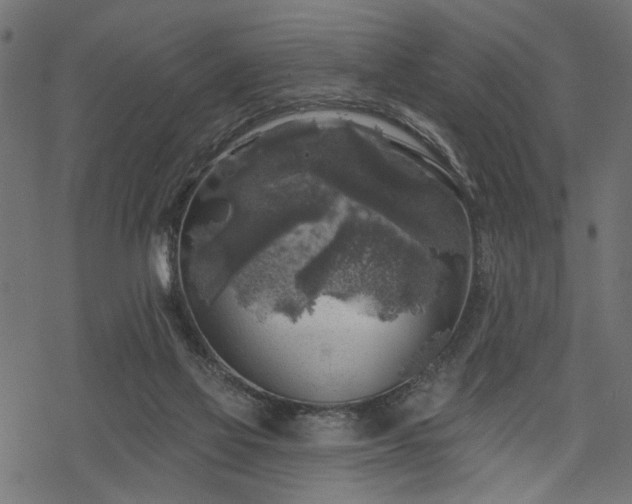 X0000068890069200605081330