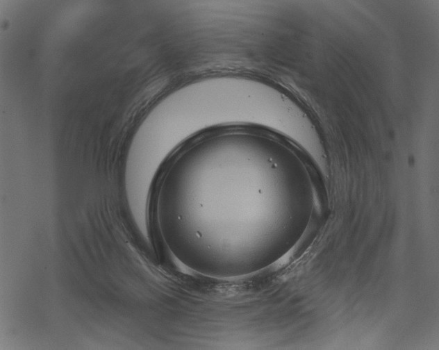 X0000068890070200605081330