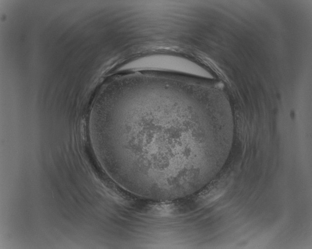 X0000068890071200605081330