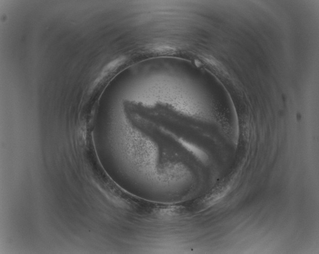 X0000068890072200605081330