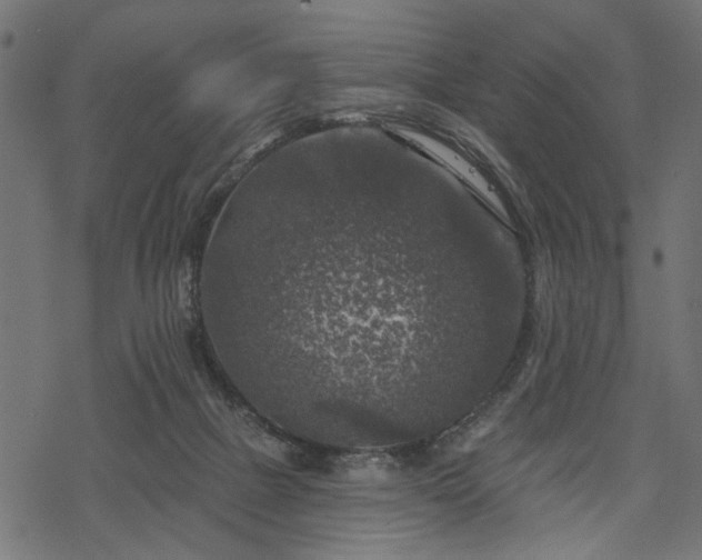 X0000068890073200605081330