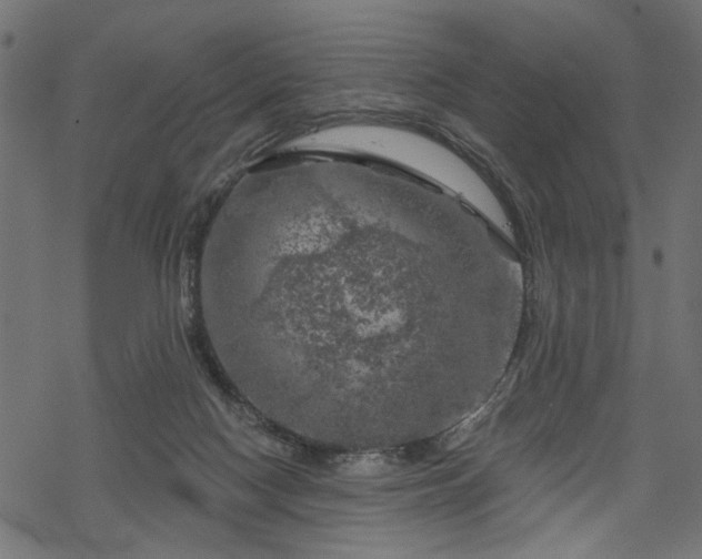 X0000068890074200605081330