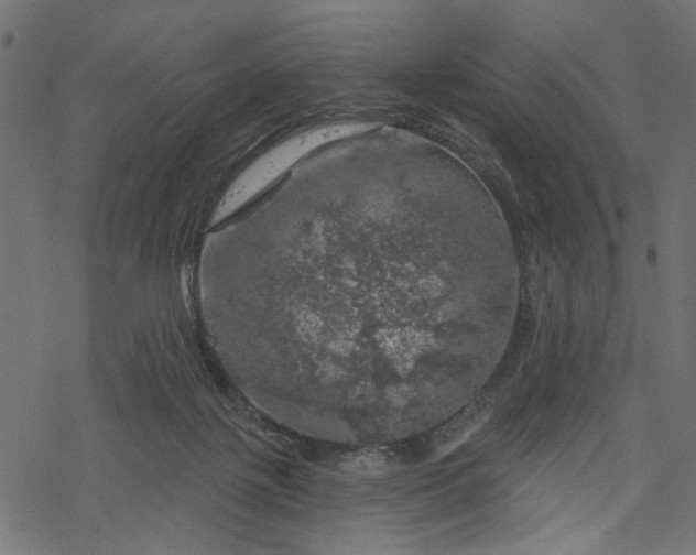 X0000068890075200605081330