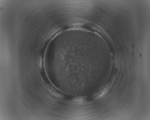 X0000068890076200605081330