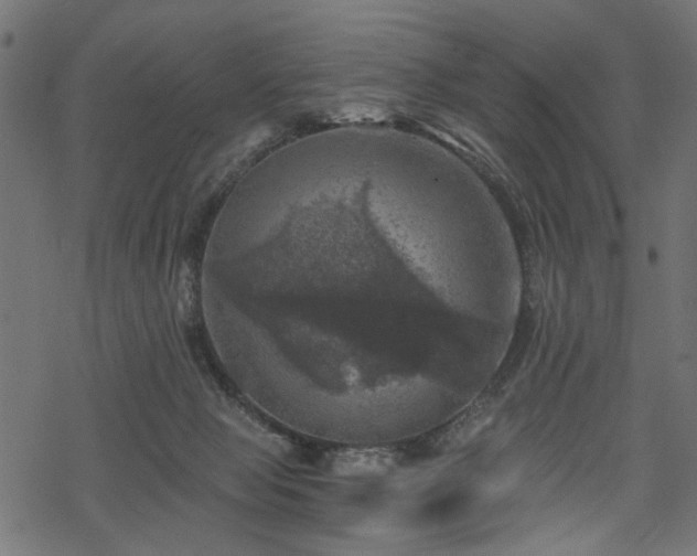 X0000068890077200605081330