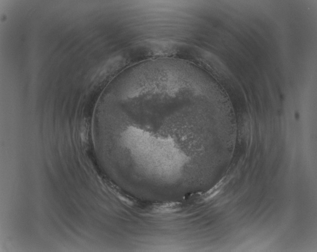 X0000068890078200605081330