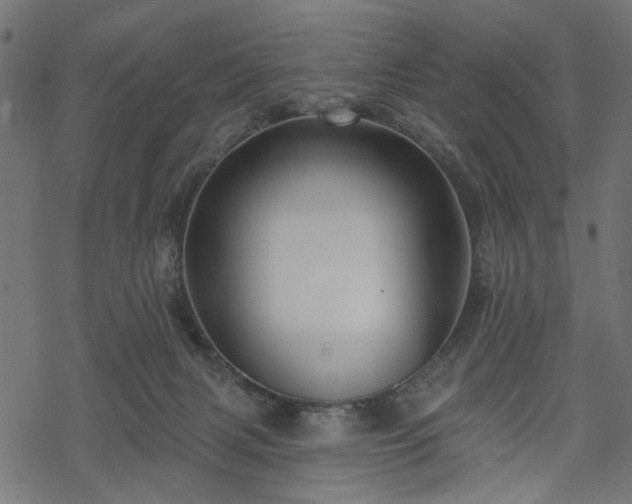 X0000068890079200605081330