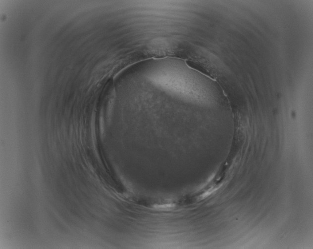 X0000068890080200605081330