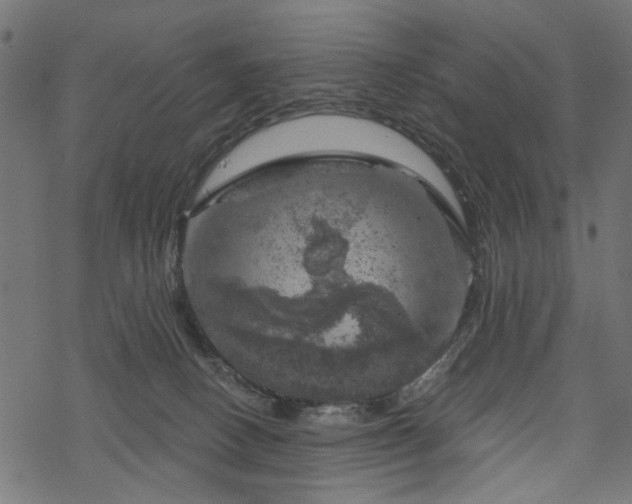 X0000068890082200605081330