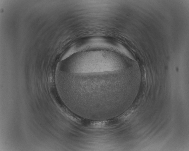 X0000068890084200605081330