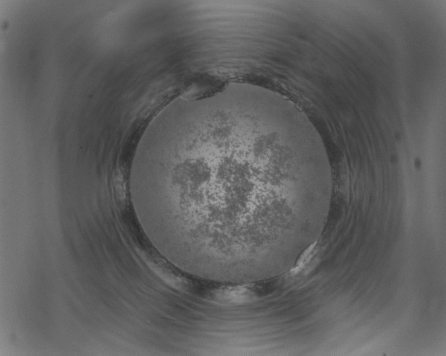 X0000068890086200605081330