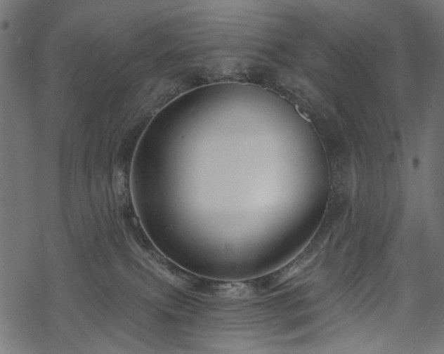 X0000068890087200605081331