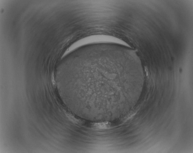 X0000068890089200605081331