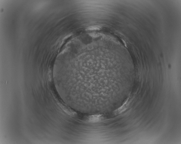 X0000068890090200605081331