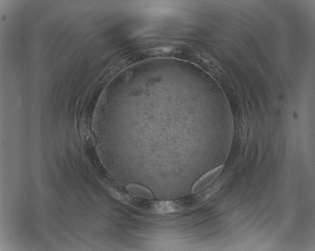 X0000068890091200605081331