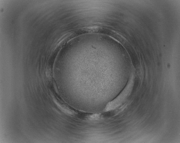 X0000068890092200605081331