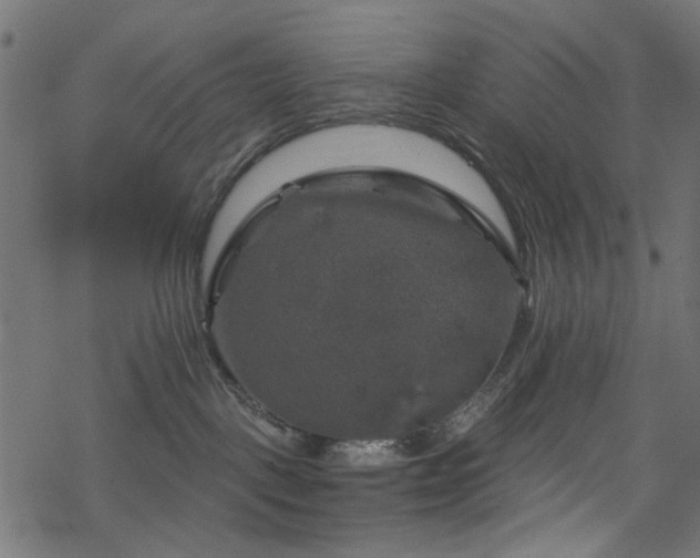 X0000068890093200605081331