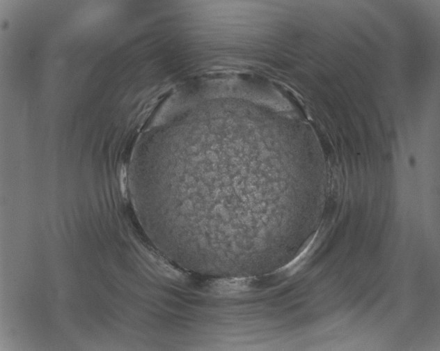 X0000068890094200605081331