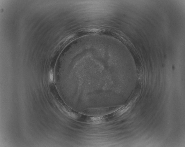 X0000068890095200605081331