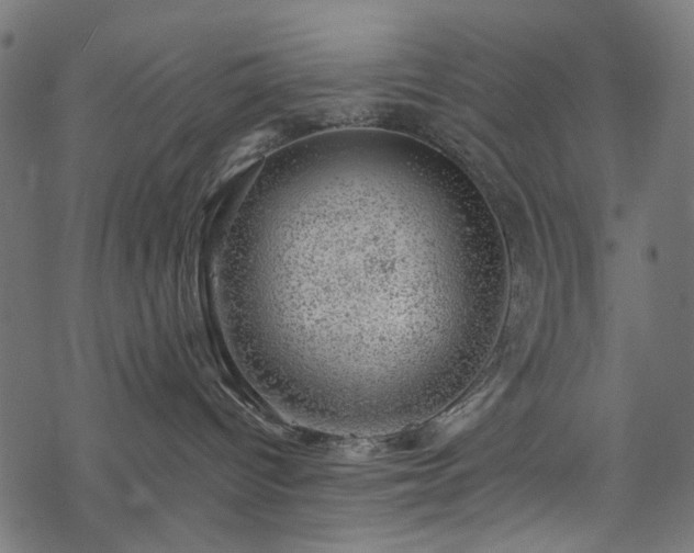 X0000068890096200605081331