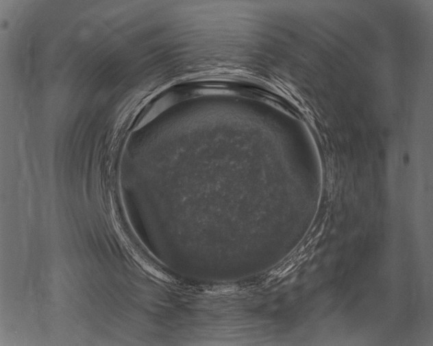 X0000068890097200605081330