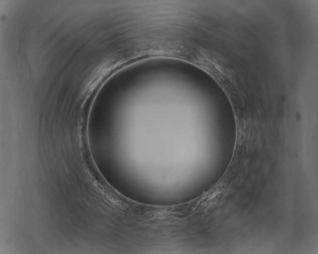 X0000068890098200605081330