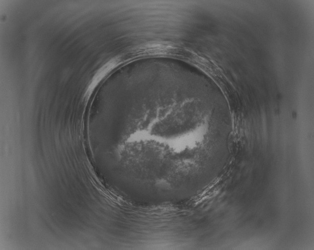 X0000068890099200605081330