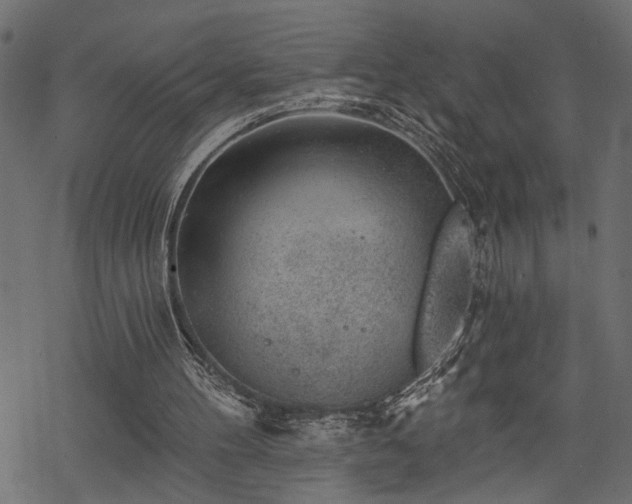 X0000068890100200605081330