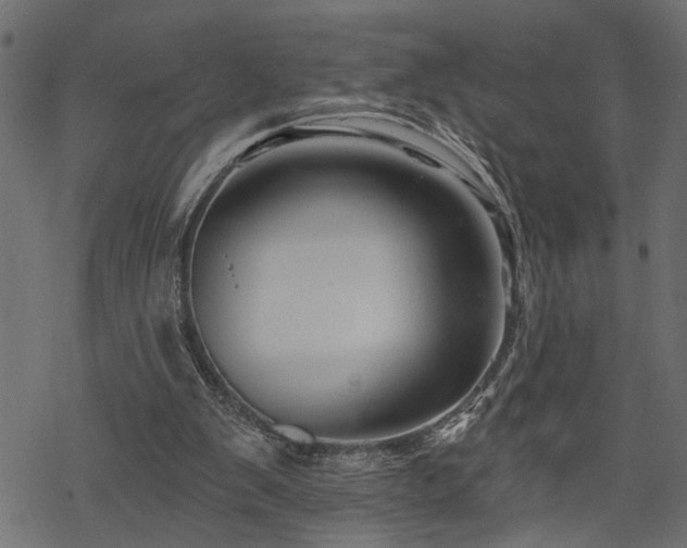 X0000068890103200605081330