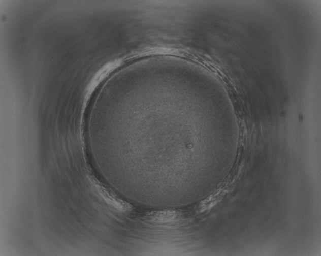 X0000068890104200605081330