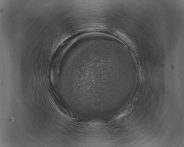 X0000068890105200605081330