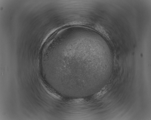 X0000068890108200605081330