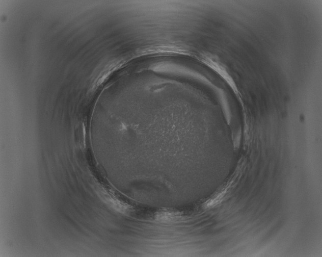 X0000068890109200605081330