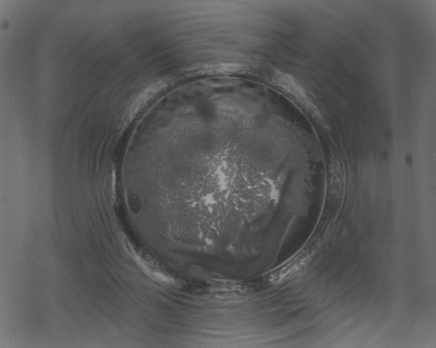 X0000068890110200605081330