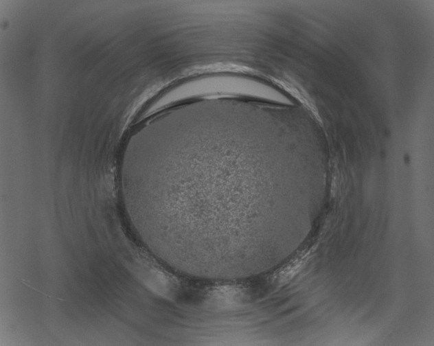 X0000068890111200605081330