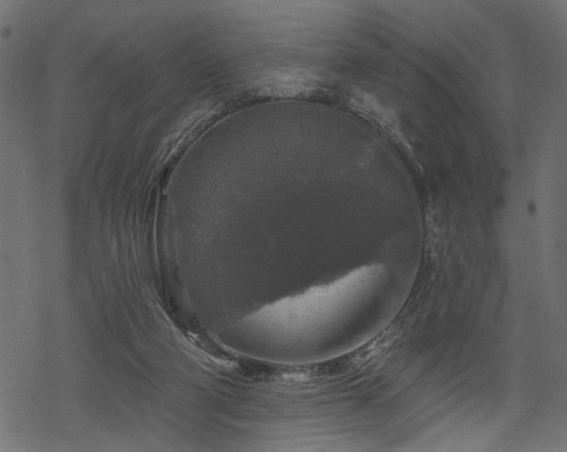 X0000068890114200605081329