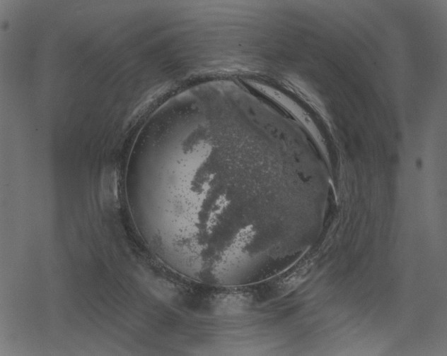 X0000068890115200605081329