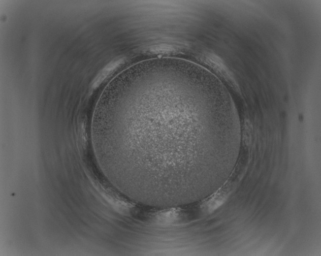 X0000068890116200605081329