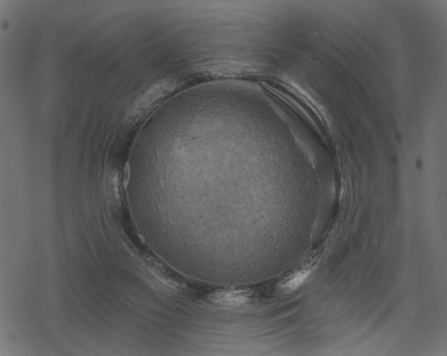 X0000068890117200605081329