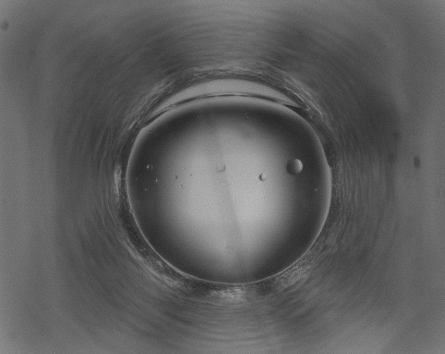 X0000068890118200605081329