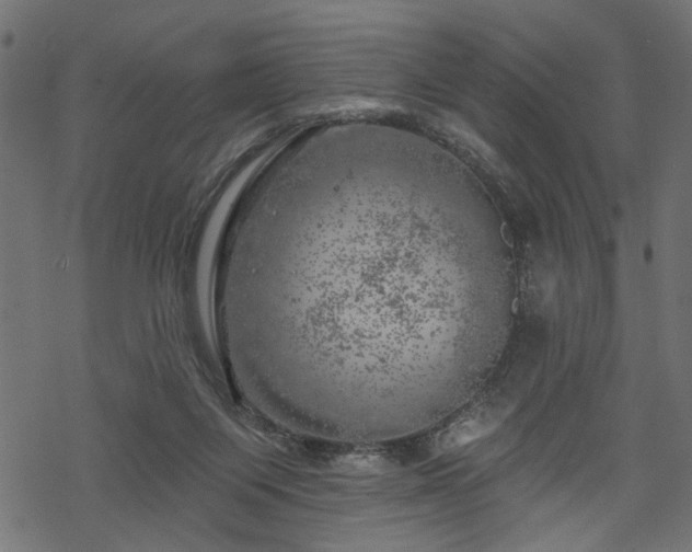 X0000068890119200605081329