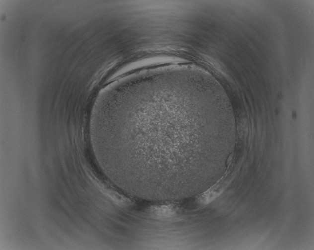 X0000068890120200605081329